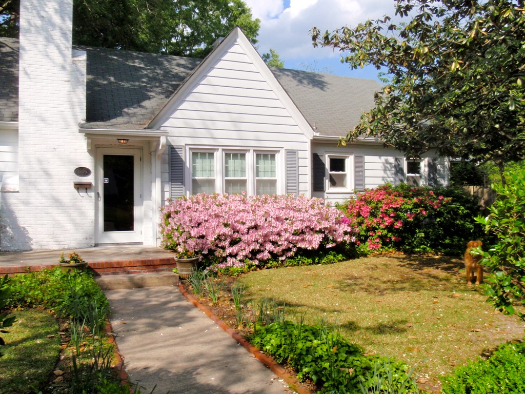 Beautiful Home In University Area, Greenville NC Real Estate